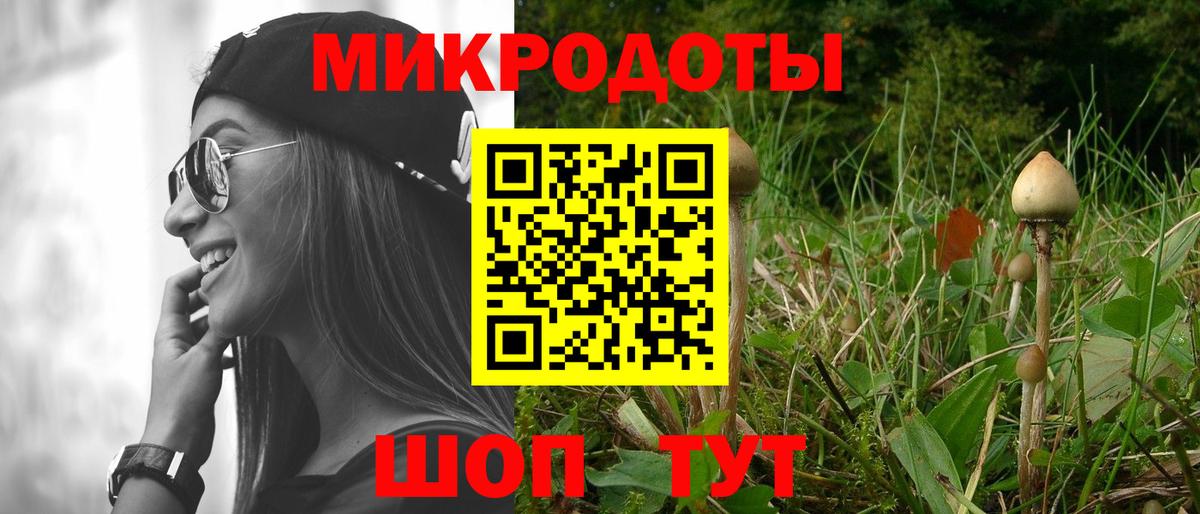 Галлюциногенные грибы Psilocybe  Вход с VPN  Звенигород  Псилоцибиновые грибы ЛСД 