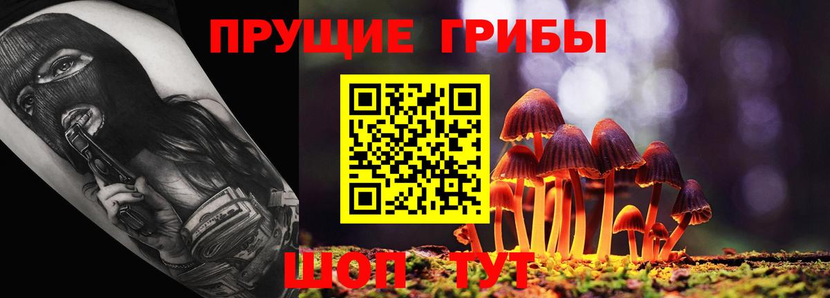 Галлюциногенные грибы прущие грибы Звенигород