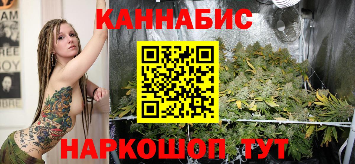 Канабис семена  Бошки марихуана VHQ  Марихуана план  Вход с VPN  Звенигород  Марихуана план 